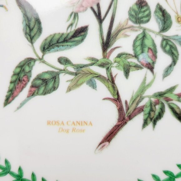 Portmeirion Botanic Garden Melamine 6" Round Tea Tile Trivet Dog Rose Flower Bee - Picture 2 of 10